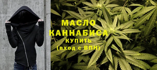 гидра Гусиноозёрск