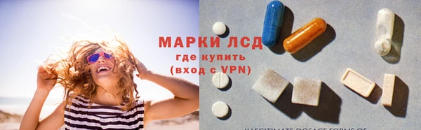 шишки Гусь-Хрустальный