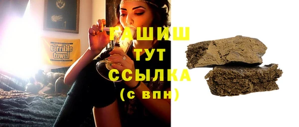 гидра Гусиноозёрск