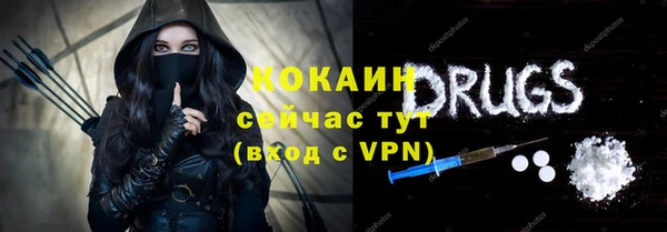 гидропоника Дмитриев