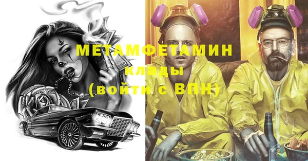 гидра Гусиноозёрск