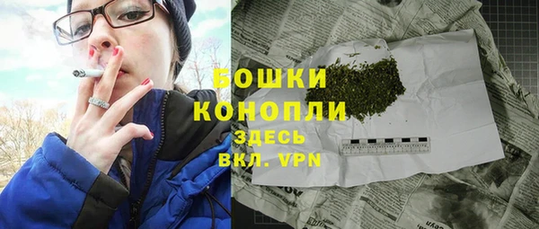 гидра Гусиноозёрск